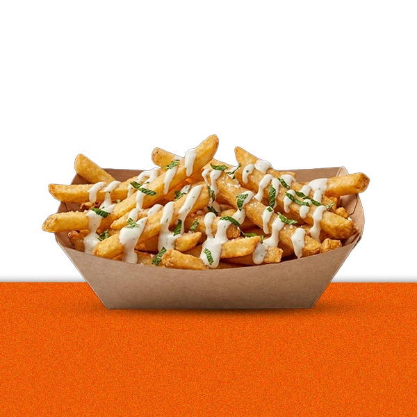 Mr. Fries